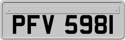 PFV5981