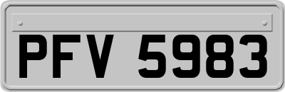 PFV5983