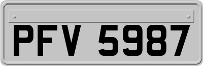 PFV5987