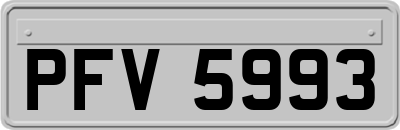 PFV5993