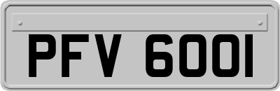 PFV6001