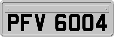 PFV6004