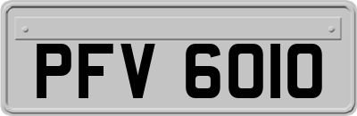 PFV6010