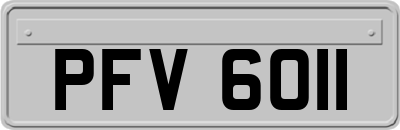 PFV6011