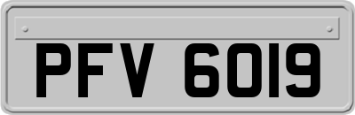 PFV6019