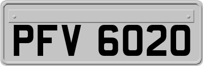 PFV6020