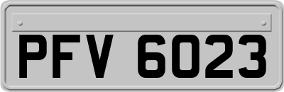 PFV6023