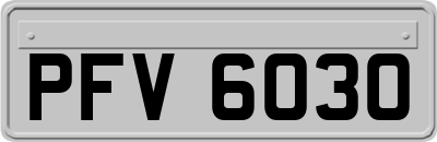 PFV6030