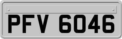 PFV6046