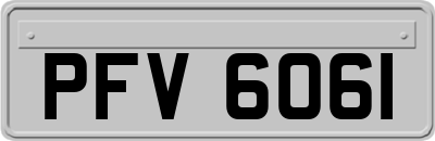 PFV6061