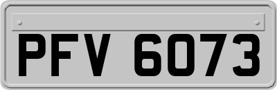 PFV6073