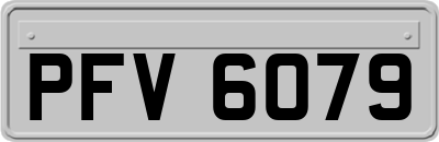 PFV6079
