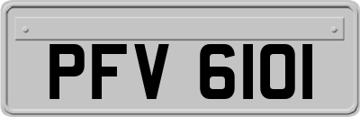 PFV6101