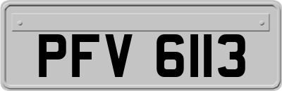 PFV6113