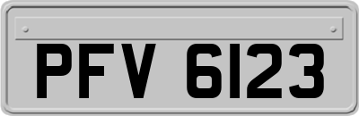 PFV6123