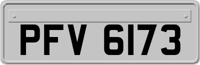 PFV6173