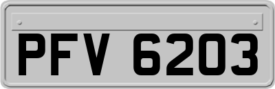 PFV6203