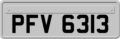 PFV6313