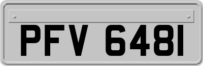 PFV6481