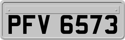 PFV6573
