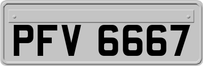 PFV6667