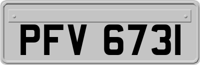 PFV6731