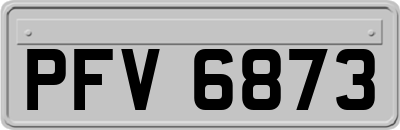 PFV6873