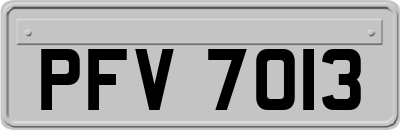 PFV7013