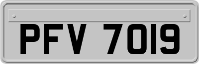 PFV7019