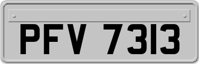 PFV7313