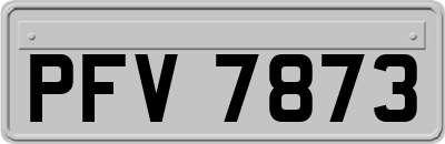 PFV7873