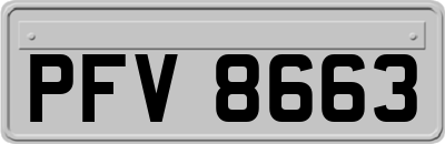 PFV8663