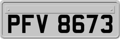 PFV8673