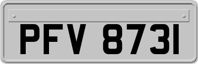 PFV8731