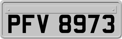 PFV8973