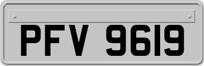PFV9619