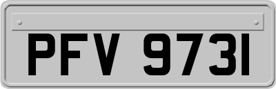 PFV9731