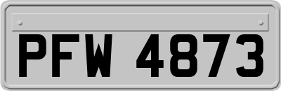 PFW4873