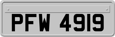 PFW4919