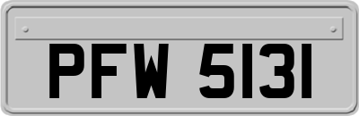 PFW5131