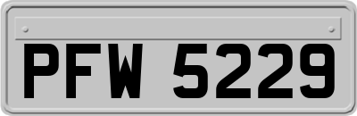 PFW5229