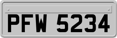 PFW5234