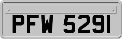 PFW5291