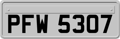 PFW5307