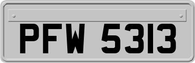PFW5313