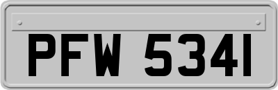 PFW5341