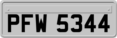 PFW5344