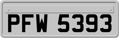 PFW5393