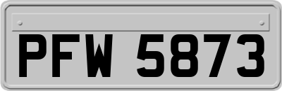 PFW5873