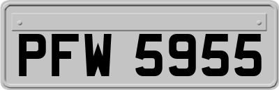 PFW5955